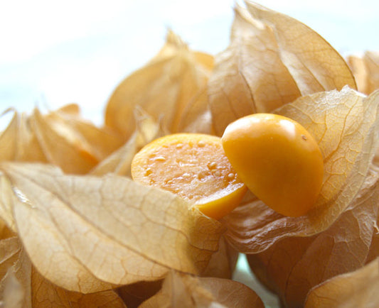 【ブログ】実くずれしない濃厚な1粒 食用ほおずき