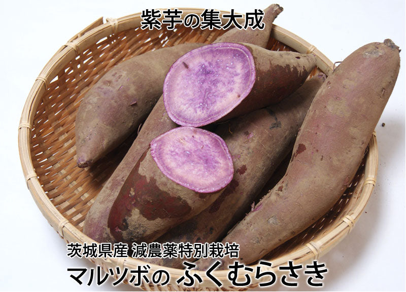 マルツボの「ふくむらさき」紫芋 減農薬特別栽培 茨城県産 大小混在約3kg【紫色のさつまいも】*常温便 *送料込