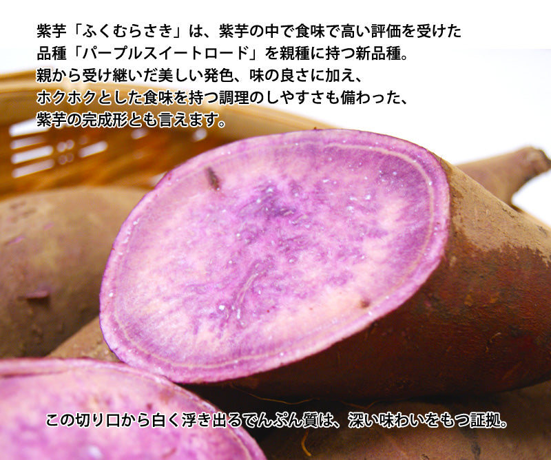 マルツボの「ふくむらさき」紫芋 減農薬特別栽培 茨城県産 大小混在約3kg【紫色のさつまいも】*常温便 *送料込