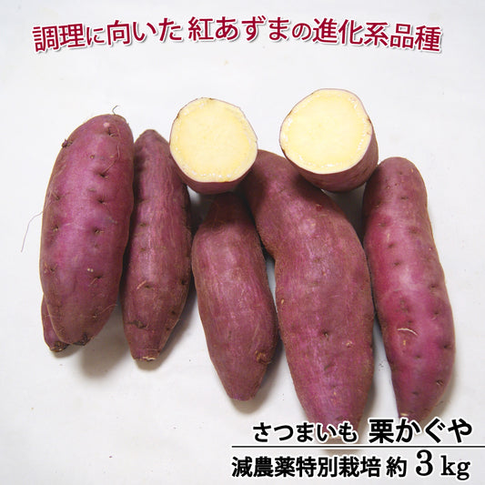 さつまいも 栗かぐや 減農薬 特別栽培 千葉県産 M〜L混在 約3kg 紅あずまの後継品種 常温便 送料込