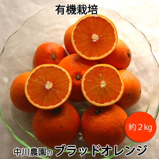中川農園の有機 ブラッドオレンジ 有機栽培 愛媛県産 大小混在約2kg モロ種タロッコ種混在 *送料込 *常温便発送