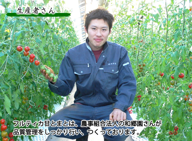 和郷園のフルティカ 甘とまと 業務用12パック (1パック 約130g) 千葉県もしくは福井県産 *常温便 *送料込