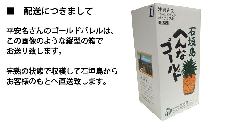 7月上旬から発送 平安名さんのゴールドバレル 減農薬栽培 石垣島産 1玉 1.7〜2.1kg *常温便 *産地直送 *代引き不可 *送料込