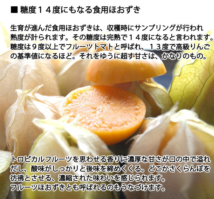 ネクスファームの「食用ほおずき(フルーツほおずき)」岩手花巻産 約150g (1パック約50g×3パック)減農薬栽培 *送料込 *代引き不可 *冷蔵便
