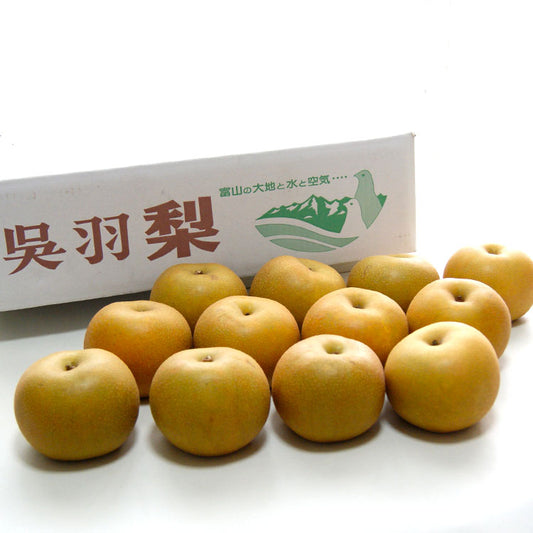 【予約販売】石川梨園の「呉羽梨」富山県産 大玉以上7〜14玉 約5kg 赤秀品 *常温便 *送料込