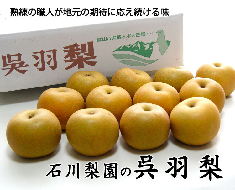 【予約販売】石川梨園の「呉羽梨」富山県産 大玉以上7〜14玉 約5kg 赤秀品 *常温便 *送料込