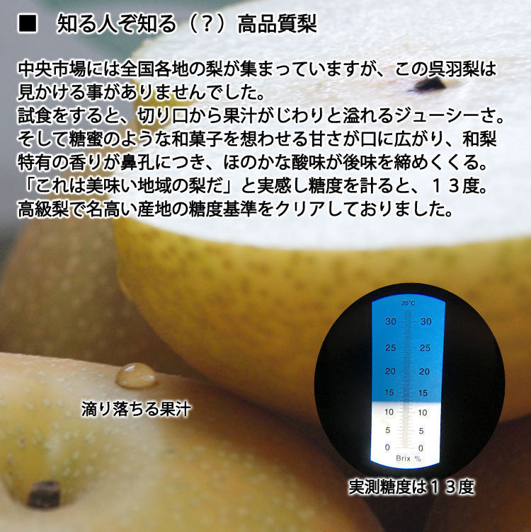 【予約販売】石川梨園の「呉羽梨」富山県産 大玉以上5〜8玉 約3kg 赤秀品 *常温便 *送料込