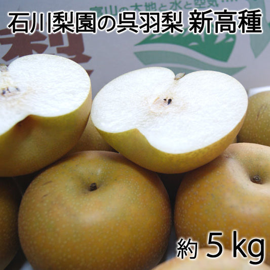 【予約販売】石川梨園の「呉羽梨」新高種 約5kg 富山県産 大玉以上5〜10玉 赤秀品 *常温便 *送料込