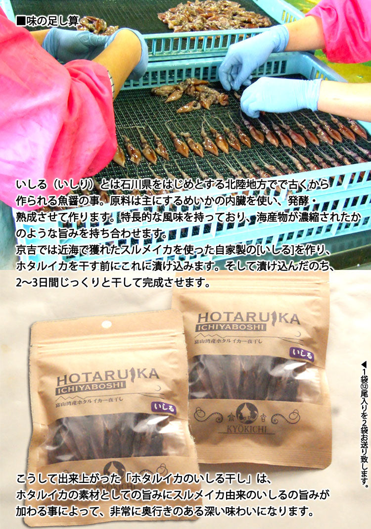 富山湾産 京吉のホタルイカのいしる干し 24尾入(1袋12尾入×2袋)*ゆうパケット便送料込