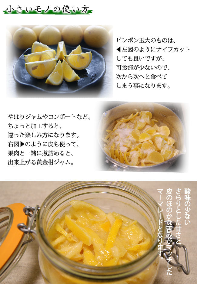 立山農園の黄金柑(ゴールデンオレンジ)無農薬栽培 神奈川県小田原産 混在約2kg *常温便 *送料込