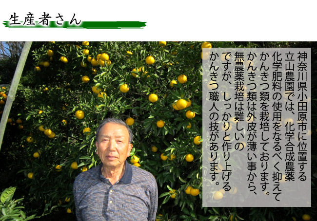 立山農園の黄金柑(ゴールデンオレンジ)無農薬栽培 神奈川県小田原産 混在約2kg *常温便 *送料込
