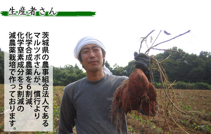 マルツボの「パープルスイートロード」紫芋 減農薬特別栽培 茨城県産 大小混在約3kg【紫色のさつまいも】*常温便 *送料込