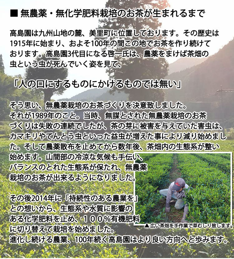 2025年産新茶【玉緑茶製法訳あり芽茶】高島園の無農薬無化学肥料栽培茶「芽茶」 1袋 約400g *ゆうパケット便送料込