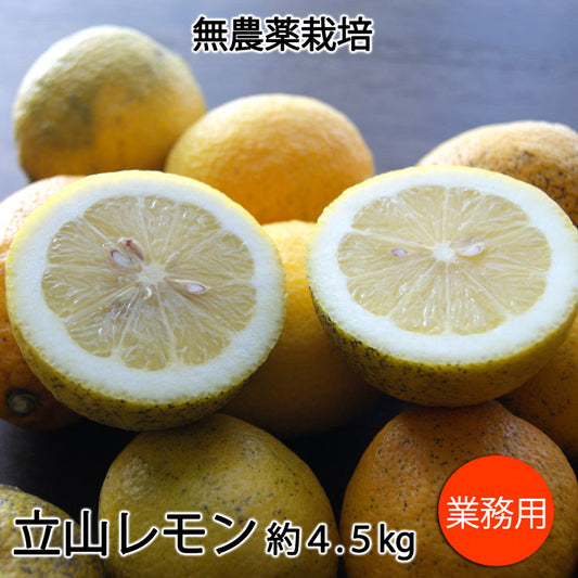 【業務用】立山レモン 無農薬栽培国産レモン 神奈川県産 混在約4.5kg *常温便 *送料込