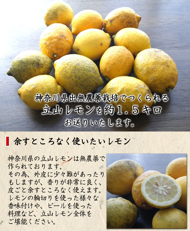 立山レモン 無農薬栽培 神奈川県産 混在約1.5kg *常温便 *送料込