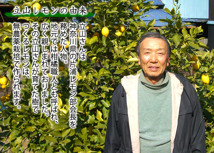 立山レモン 無農薬栽培 神奈川県産 混在約1.5kg *常温便 *送料込