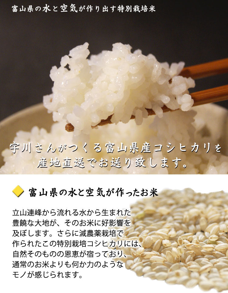 令和6年産新米 減農薬特別栽培米 宇川さんの「コシヒカリ」玄米 約5kg×2袋 *送料込