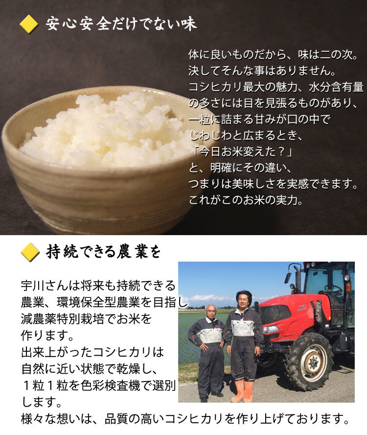 令和6年産新米 減農薬特別栽培米 宇川さんの「コシヒカリ」玄米 約5kg×2袋 *送料込