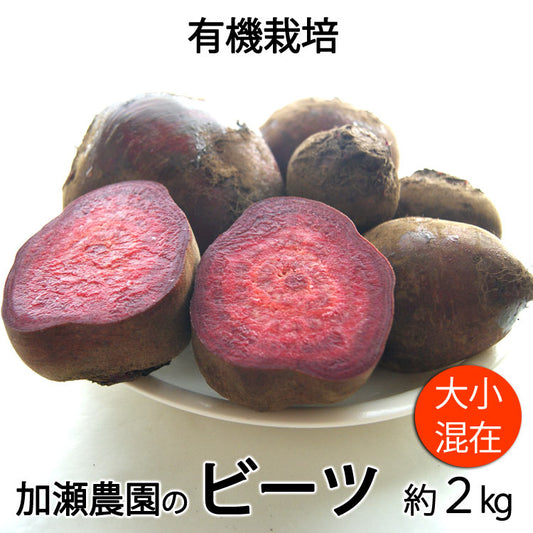 加瀬農園の「有機ビーツ(テーブルビート)」 有機栽培 千葉県産 大小混在約2kg *常温便 *送料込