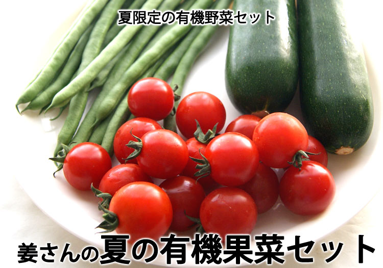 姜さんの「夏の有機果菜セット」 有機栽培 ズッキーニ・いんげん・ミニトマトのセット 長野県産*冷蔵便 *送料込