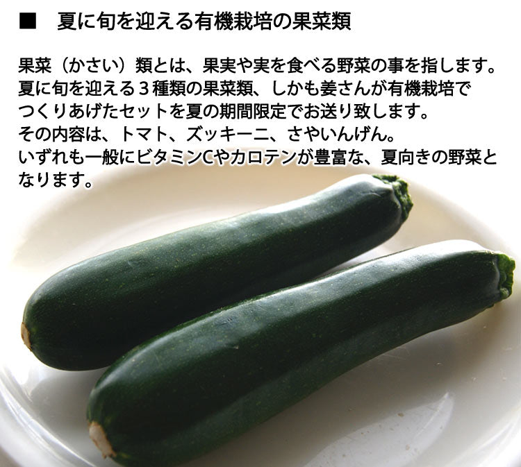 姜さんの「夏の有機果菜セット」 有機栽培 ズッキーニ・いんげん・ミニトマトのセット 長野県産*冷蔵便 *送料込
