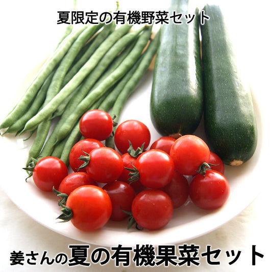 姜さんの「夏の有機果菜セット」 有機栽培 ズッキーニ・いんげん・ミニトマトのセット 長野県産*冷蔵便 *送料込