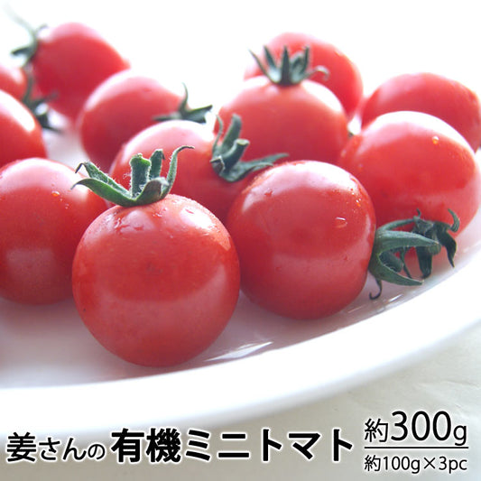 姜さんの「有機ミニトマト」 有機栽培 長野県産 約300g(約100g×3パック入)*冷蔵便 *送料込