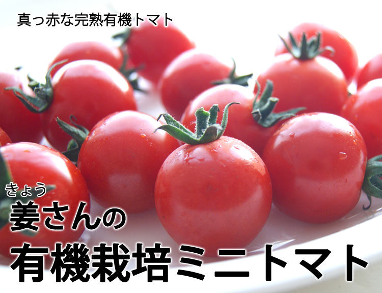 姜さんの「有機ミニトマト」 有機栽培 長野県産 約500g(約100g×5パック入)*冷蔵便 *送料込