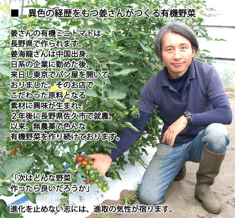【業務用】姜さんの「有機ミニトマト」 有機栽培 長野県産 約1kg(約100g×10パック入)*冷蔵便 *送料込