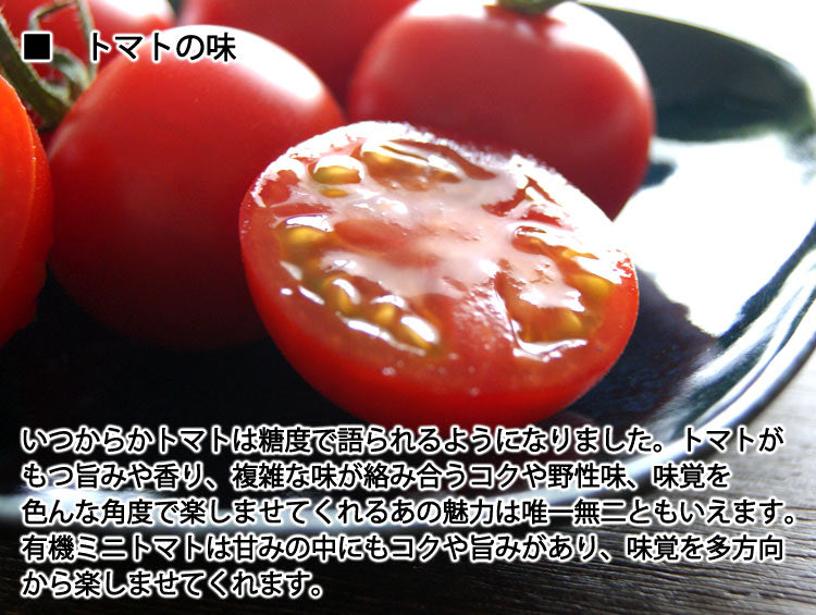 【業務用】姜さんの「有機ミニトマト」 有機栽培 長野県産 約1kg(約100g×10パック入)*冷蔵便 *送料込