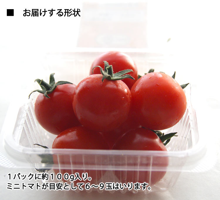 【業務用】姜さんの「有機ミニトマト」 有機栽培 長野県産 約1kg(約100g×10パック入)*冷蔵便 *送料込