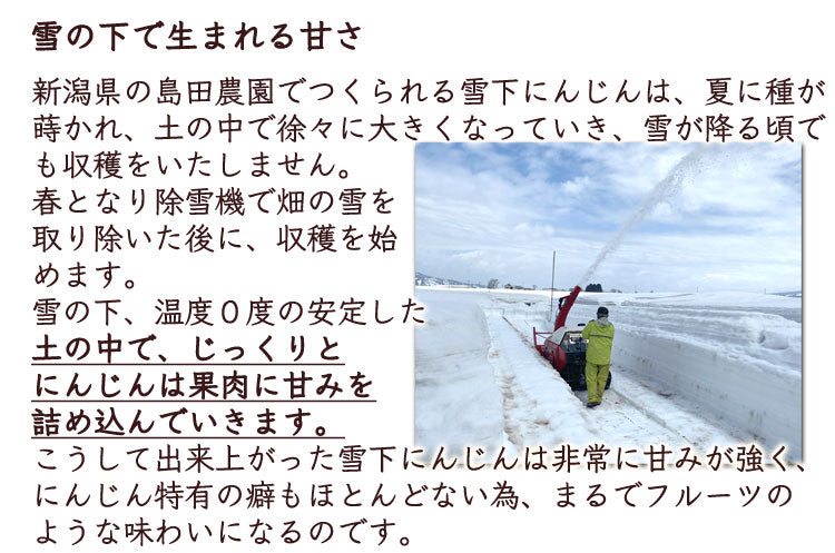 【業務用】島田農園の雪下にんじん 訳あり品大小混在 約5kg 減農薬特別栽培 新潟県産 品種:ひとみ五寸 *送料込 *常温便 のコピー