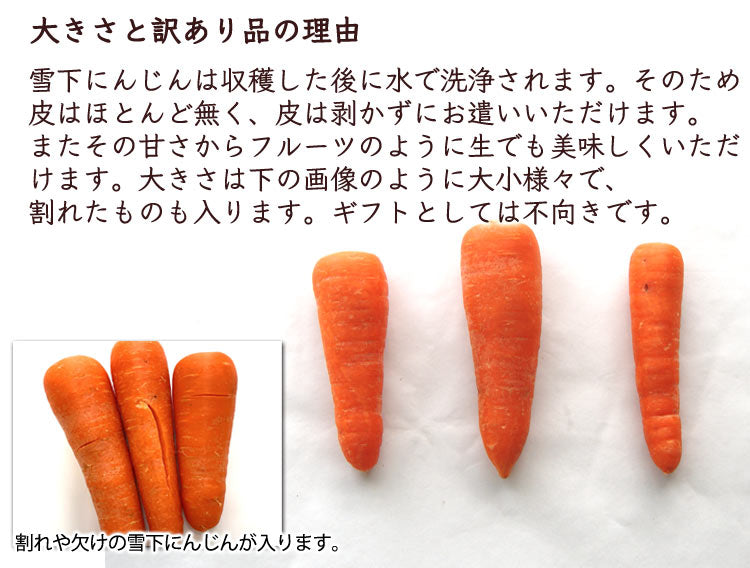 【業務用】島田農園の雪下にんじん 訳あり品大小混在 約5kg 減農薬特別栽培 新潟県産 品種:ひとみ五寸 *送料込 *常温便 のコピー