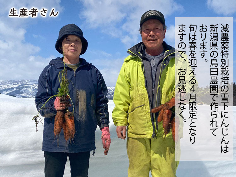 【業務用】島田農園の雪下にんじん 訳あり品大小混在 約5kg 減農薬特別栽培 新潟県産 品種:ひとみ五寸 *送料込 *常温便 のコピー
