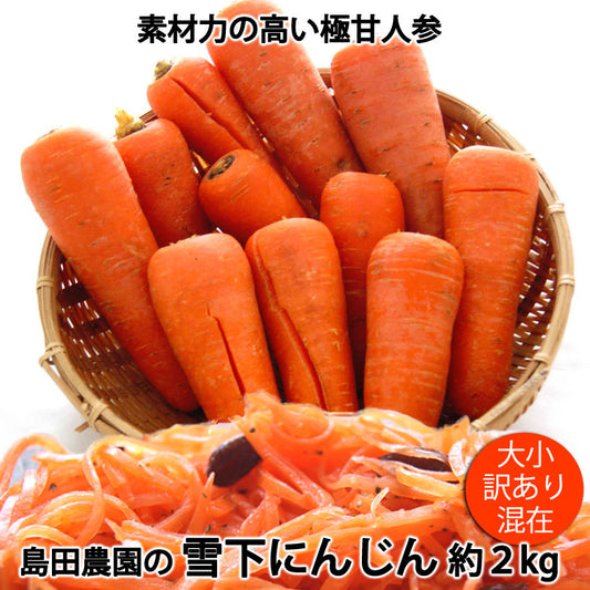 島田農園の雪下にんじん 訳あり品大小混在 約2kg 減農薬特別栽培 新潟県産 品種:ひとみ五寸 *送料込 *常温便