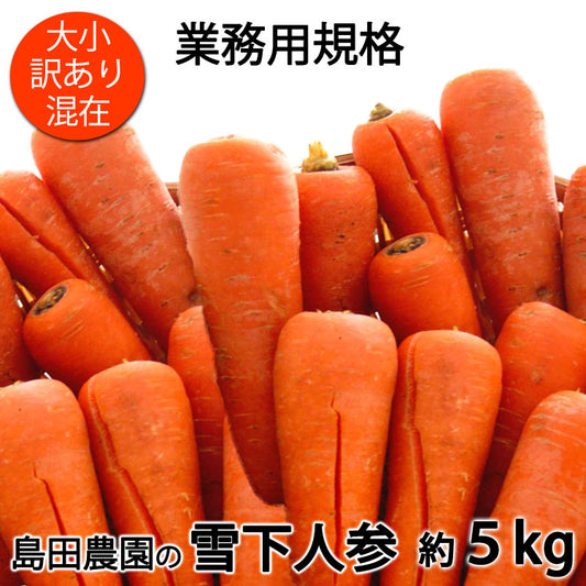 【業務用】島田農園の雪下にんじん 訳あり品大小混在 約5kg 減農薬特別栽培 新潟県産 品種:ひとみ五寸 *送料込 *常温便 のコピー