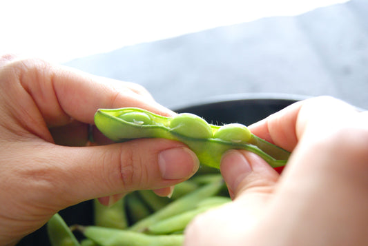 【お野菜探訪】茶豆のファーストインプレッションがよみがえる枝豆「味緑」