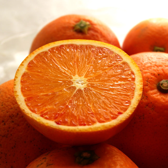 中川農園の有機栽培ブラッドオレンジ
