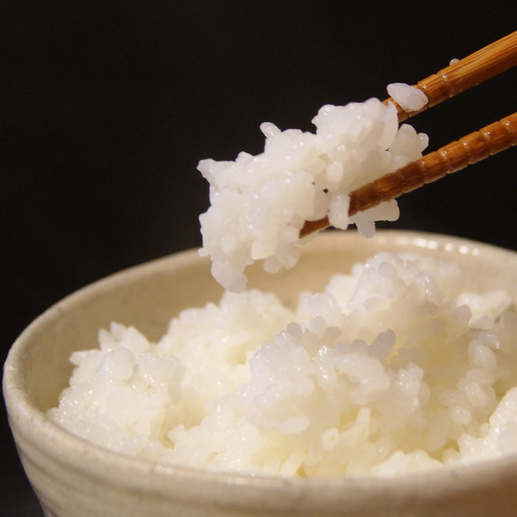 富山県の水で作るコシヒカリ
