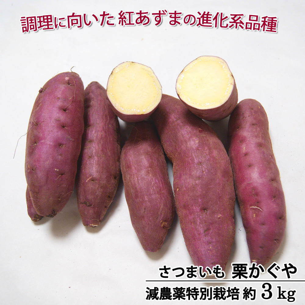 さつまいも 栗かぐや 減農薬 特別栽培 千葉県産 M〜L混在 約３kg 紅あずまの後継品種 常温便 送料込