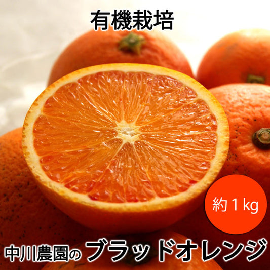 中川農園の有機ブラッドオレンジ 有機栽培 愛媛県産 混在約１kg モロ種タロッコ種混在 ＊送料込　＊常温便発送