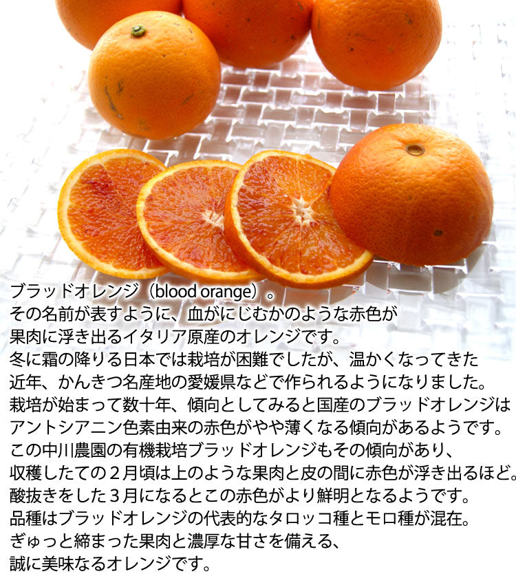 【送料無料　ご家庭用】愛媛産　ブラッドオレンジ　タロッコ　M~S　12ｋｇ