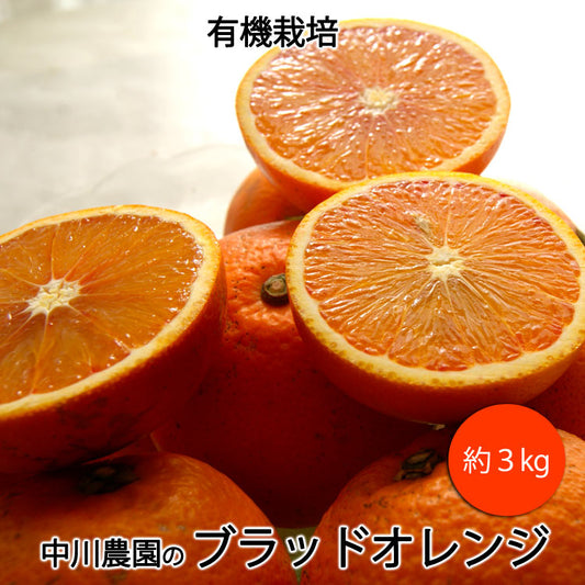 中川農園の有機ブラッドオレンジ 有機栽培 愛媛県産 混在約３kg モロ種タロッコ種混在　＊送料込　＊常温便発送