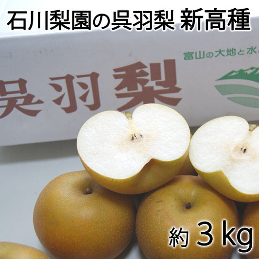 【予約販売】石川梨園の「呉羽梨」新高種 約３kg 富山県産 大玉以上４〜６玉 赤秀品 ＊常温便　＊送料込