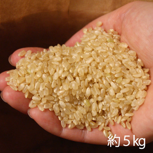 【令和4年産米】減農薬特別栽培米　宇川さんの「コシヒカリ」玄米　約５kｇ　＊送料込　