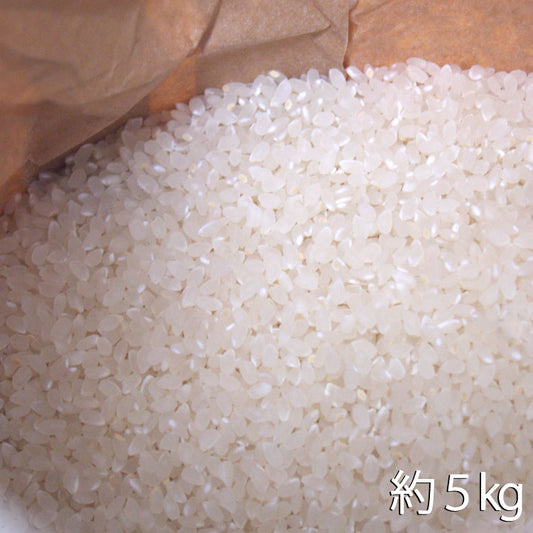 【令和4年産米】減農薬特別栽培米　宇川さんの「コシヒカリ」白米（注文後精米）　約５kｇ　＊送料込　