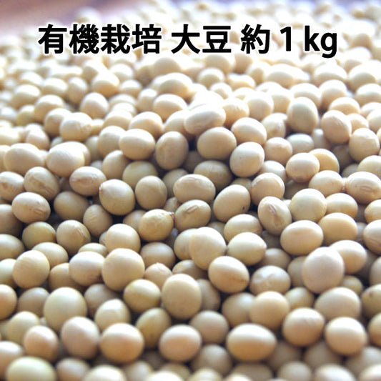 有機栽培大豆  約１kg JAS有機栽培 青森県産 品種：おおすず ＊送料込　＊常温便　