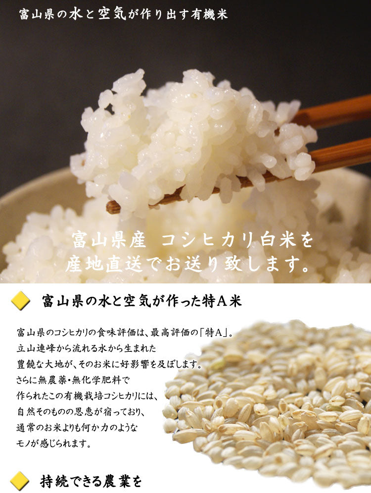 約５kｇ　「コシヒカリ」白米　有機栽培米　＊送料込　令和５年産　いっとうもの　新米　–
