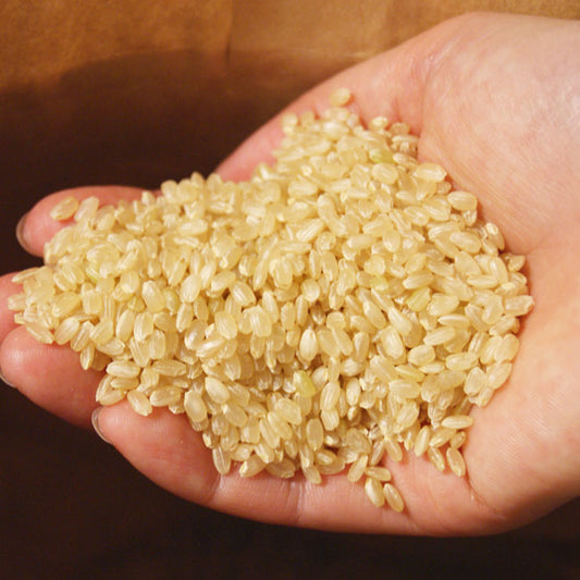 令和５年産 新米 有機栽培米　「コシヒカリ」玄米　約５kｇ　＊送料込　