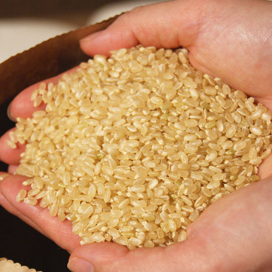 令和５年産 新米 有機栽培米　「コシヒカリ」玄米　約１０kｇ　＊送料込　